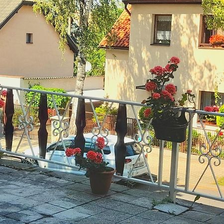 Aparthotel Lev I Sova à Mělník Extérieur photo