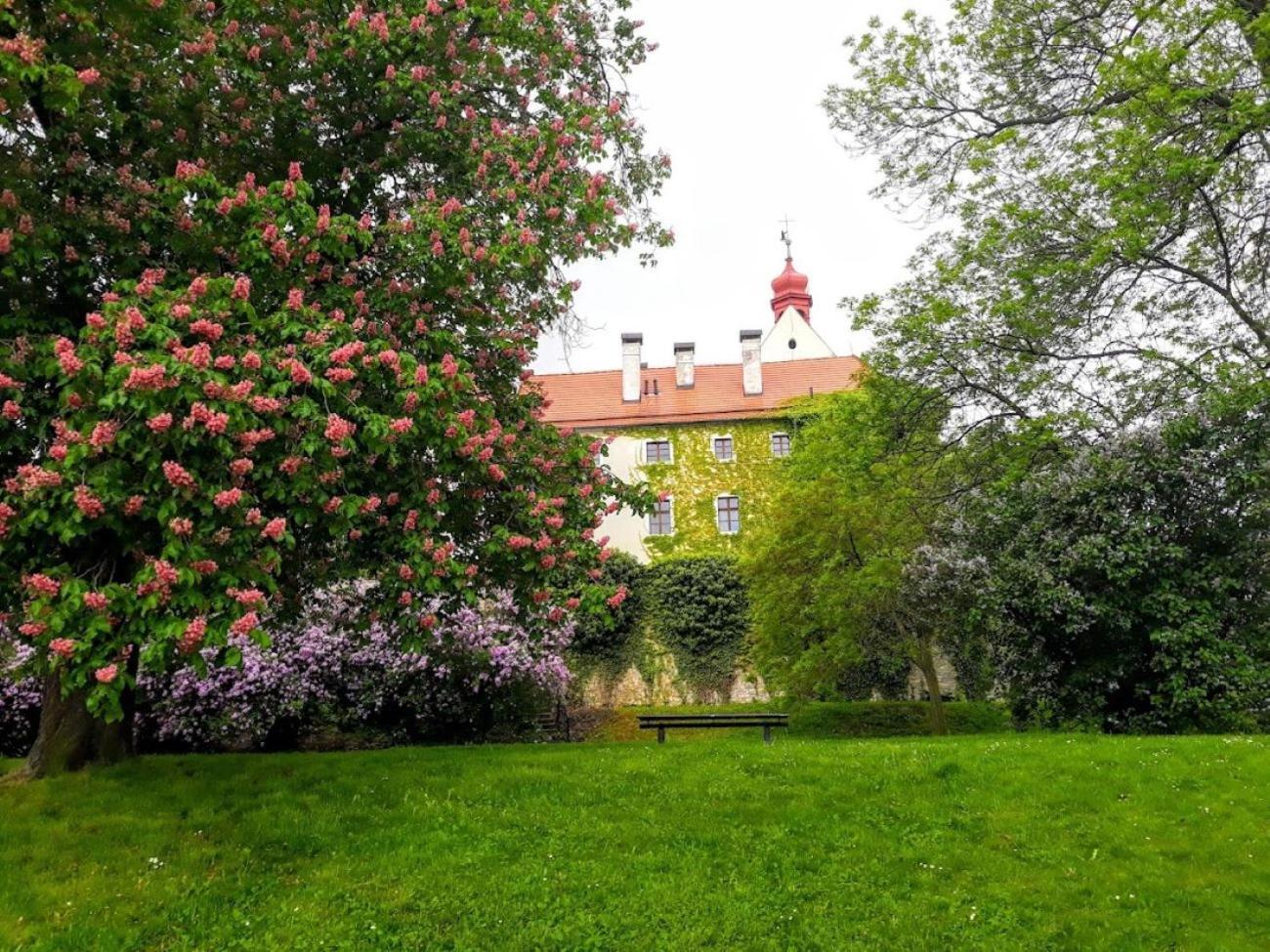 Aparthotel Lev I Sova à Mělník Extérieur photo