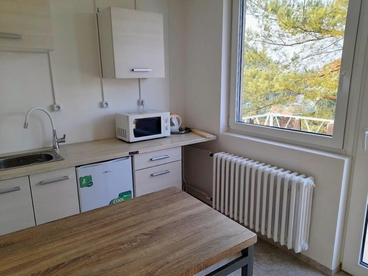 Aparthotel Lev I Sova à Mělník Extérieur photo