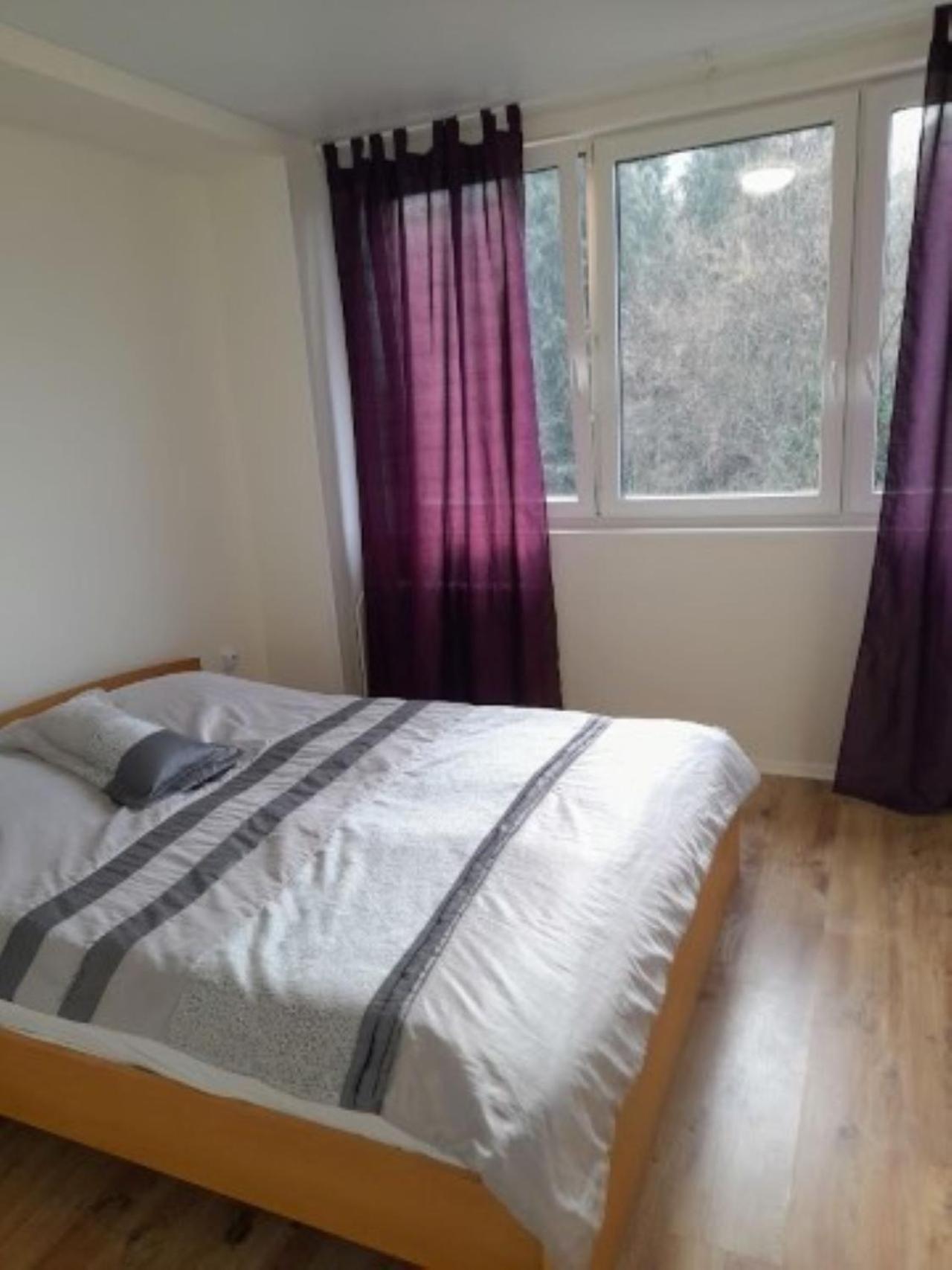 Aparthotel Lev I Sova à Mělník Extérieur photo